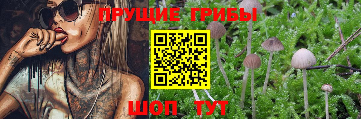 Псилоцибиновые грибы мицелий Коркино