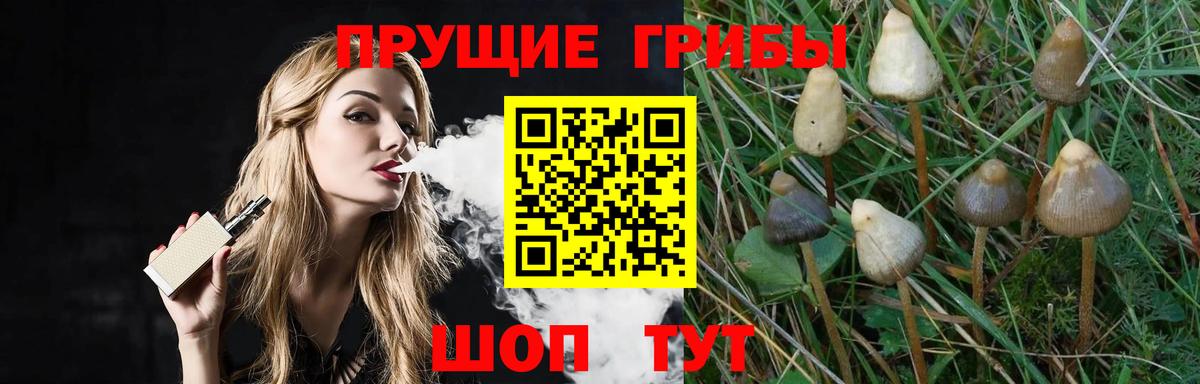 Коркино  Галлюциногенные грибы Cubensis  Вход с VPN 